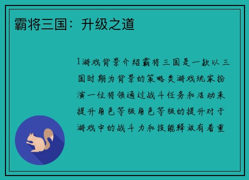 霸将三国：升级之道