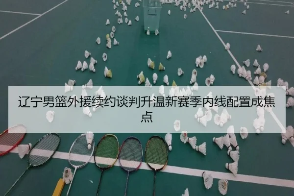 辽宁男篮外援续约谈判升温新赛季内线配置成焦点