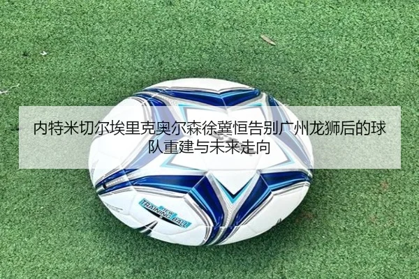 内特米切尔埃里克奥尔森徐冀恒告别广州龙狮后的球队重建与未来走向